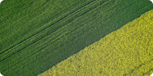 Estruturação de 4 CRAS com rating AAA.